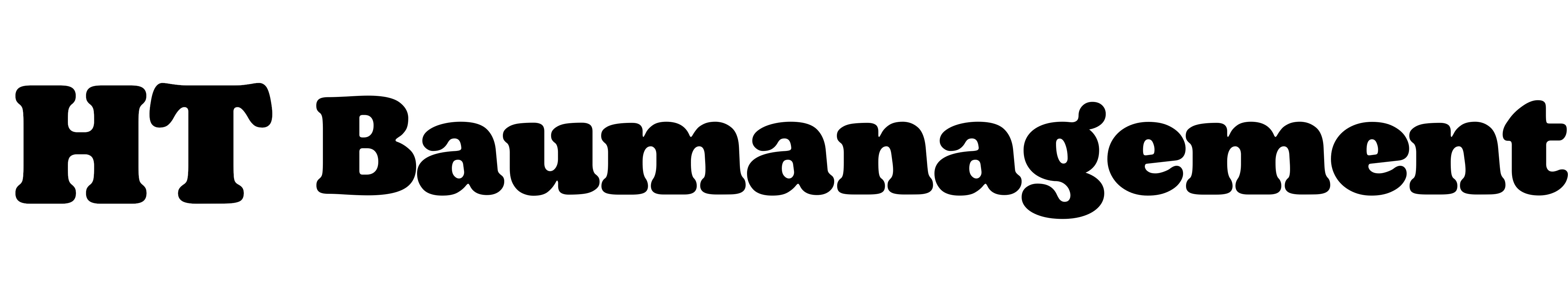 HT_Baumanagement_Logo_Schrift#2